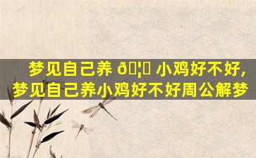 梦见自己养 🦅 小鸡好不好,梦见自己养小鸡好不好周公解梦